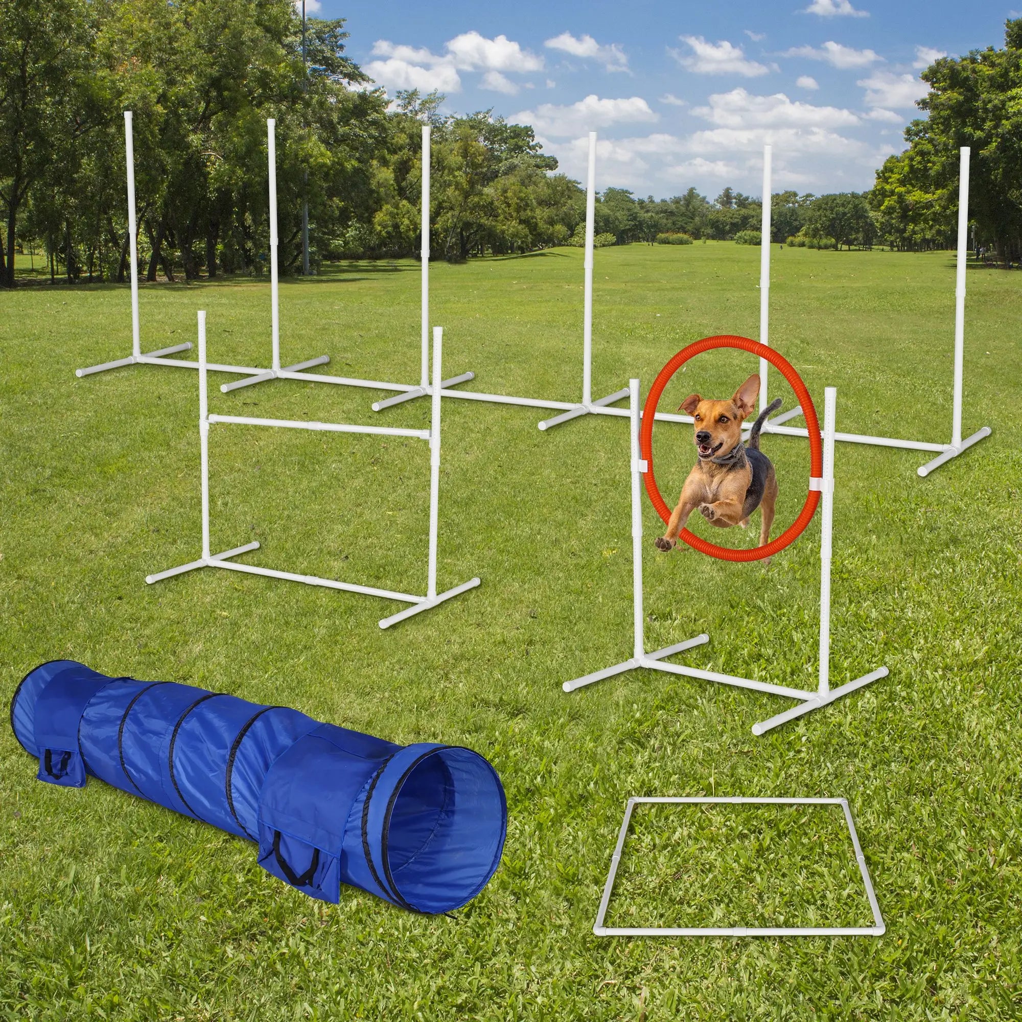 Dog agility course with tunnels and jumps on a grassy field